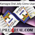 Kamagra Oral Jelly Cómo Usar 12